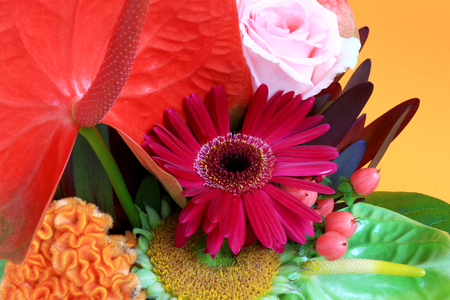 Flower arrangement that is suited for summerの写真素材