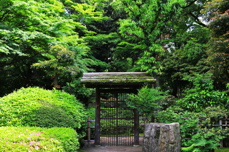 Entrance of Japanese style garden surrounded by greeneryのeditorial素材
