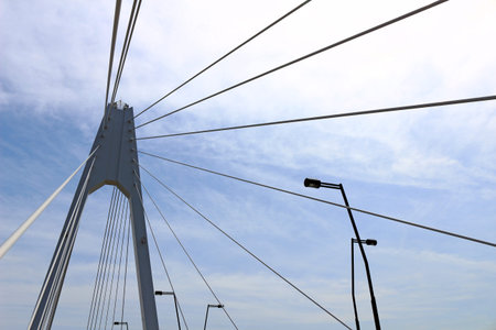 Simple, modern Cable-stayed bridge
