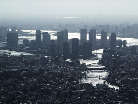 A view of a skyscraper on the waterfront of Tokyo with a haze