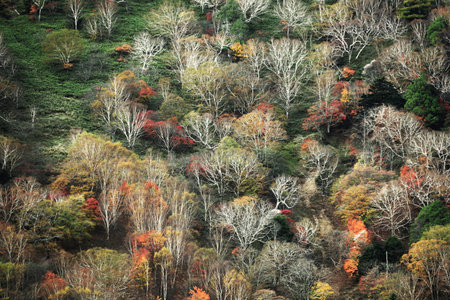 Autumn leaves in Japan, scenery of mountains in Nikko like a painting