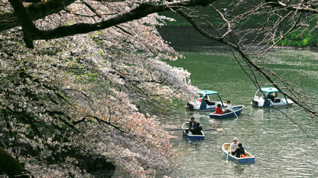 April 6, 2019 Chiyoda Ward, Tokyo, Japan
People enjoying cherry blossom viewing on a boat from Chidorigafuchi Pond on a warm spring dayのeditorial素材