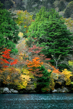 The scenery of beautiful autumn leaves in Japan The scenery of Nikko Yunoko like a paintingの写真素材