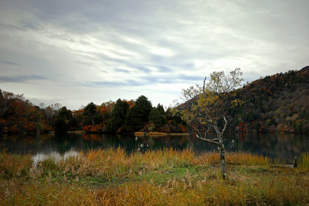 Beautiful scenery in Japan - Journey to Nikko - View of autumn leaves at Lake Yunokoの写真素材