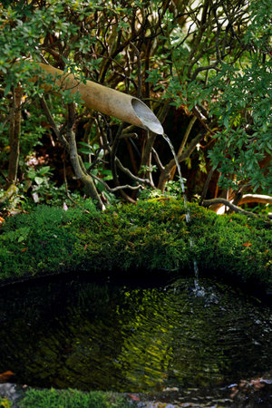 Bamboo water spout placed in a Japanese gardenの写真素材