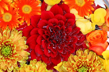 Background material photo of colorful flowers floating on water taken from aboveの写真素材