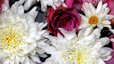 Background material photo of colorful flowers floating on water taken from aboveの写真素材