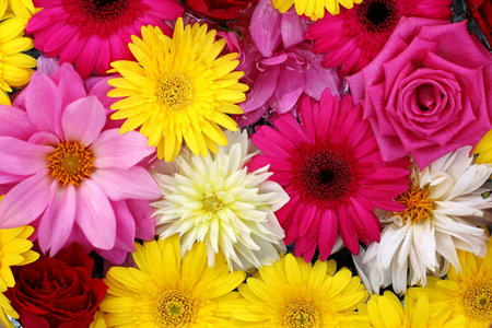 Background material photo of colorful flowers floating on water taken from aboveの写真素材