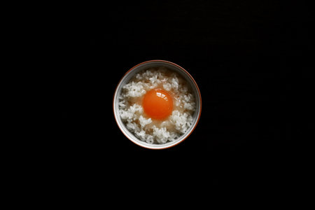 A flat lay photo of a raw egg on riceの写真素材