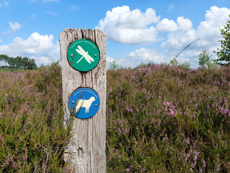 Kalmthout, Belgium, August 2021: Close-up of hiking pole with path symbols in nature park Kalmthout Heath in Belgium.のeditorial素材