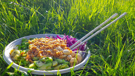 Vegan poke bowl, Hawaiian dish, with chopsticks in the grass. Cashew nuts, avocado, Red cabbage,...