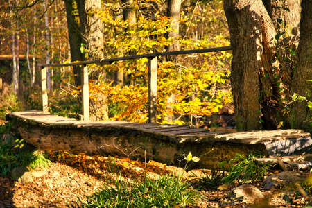 Moody wooden footpath bridge during hiking trip in the forest of the Ardennes in Wallonia, Belgium. Selective focus. Beaty in nature.の写真素材