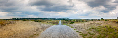 Empty road lane surrounded by nature in Hoge Veluwe national Park, close to Arnhem, Netherlandsの写真素材