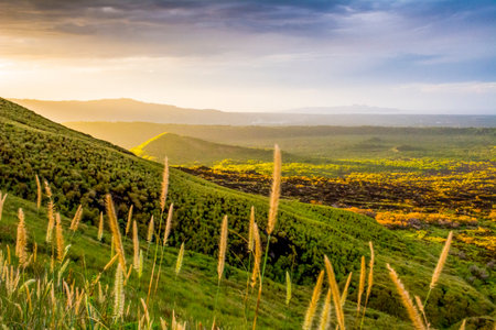 Masaya Volcano National Park Nicaragua: view on nature and landscape during sunset, in this area with an active volcano.の写真素材