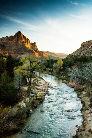 View of the Watchman in Zion National Park, Utah with Virgin River flowing to the mountain range during sunset, coloring the rocks orangeの写真素材