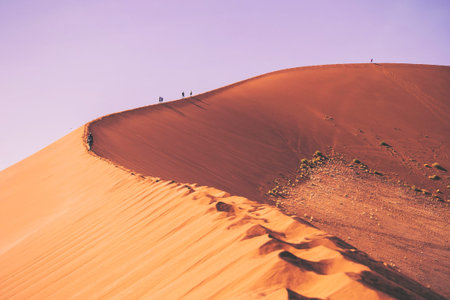 Sossusvlei, Namibia, November 2012: People climbing the sand dunes of Sossusvlei in Namibiaのeditorial素材