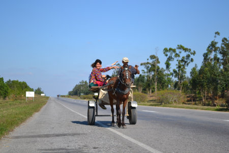 vinales, cuba, march 2011: Horse carriage on the cuban roadsのeditorial素材