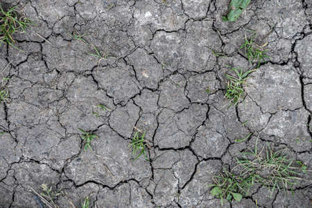 Drought causing cracks in the soil as a result of climate change.の写真素材