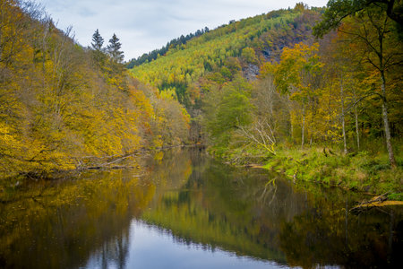 View on the river Ourthe in the Belgian national park Two Ourthes in the Ardennes of Wallonia, Belgium during autumn. Beauty in nature.の写真素材
