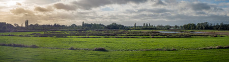 Panorama view over the grasslands of nature park Gentbrugse Meersen near Ghent in Belgium.の写真素材