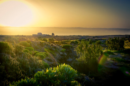 Atmospheric and moody golden hour sunset landscape on Lanzarote, one of the Canary Islands of Spain. Saturated colors with lens flares.の写真素材