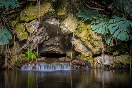 tropical garden pond with waterfall and rock wall, long exposure.の写真素材