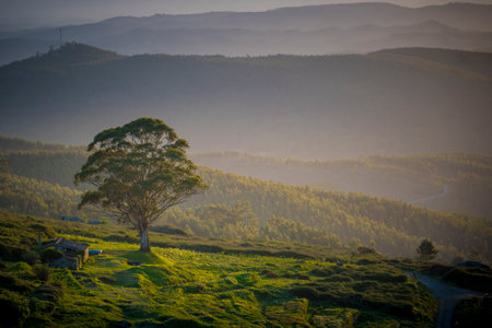 View at serra de Monchique landscape at Mount Foia during sunset, in the Algarve, Portugalの写真素材
