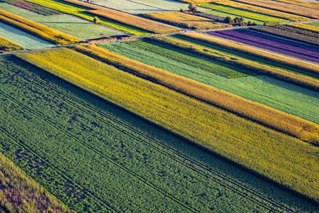 High angle view on rural and agricultural fields in Waasland of East Flanders, Belgiuma