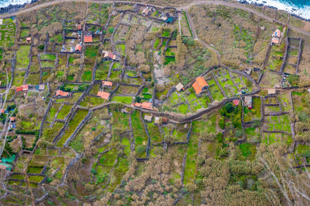 High angle, directly above view on the fields of Quebrada Nova, along the western coast of Achadas da Cruz on Madeira Island, Portugalの写真素材