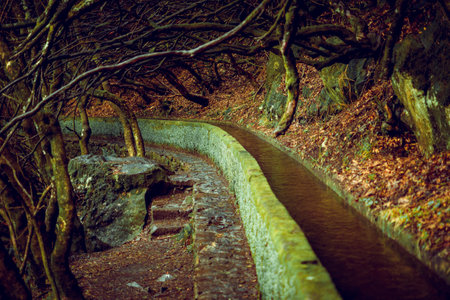 View on the nature of famous levada hike route PR6 25 fontes in rabacal valley on Madeira Island, Portugalの写真素材