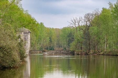 View on the moat of Fort in Kapellen forest, part of Antwerp fortificationsの写真素材