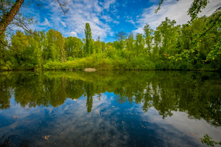 View on a pond in nature park Gelaagpark in Steendorp, near Temse, Belgiumの写真素材