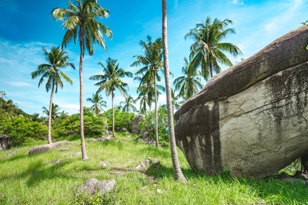 Landscape of Koh tao island in Thailandの写真素材