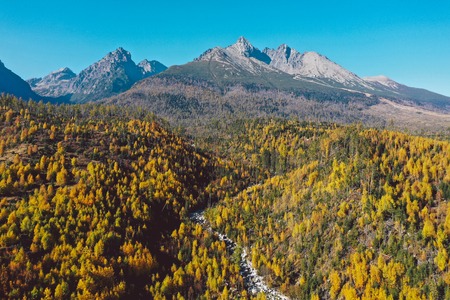 mountains on a sunny day with forest in colors of autumnの写真素材
