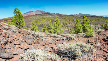 Pico del Teide - Spectacular volcano on Tenerife, with its surroundingsの写真素材