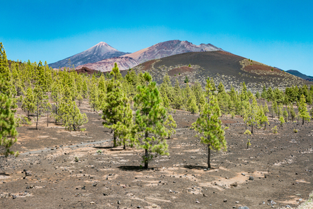 Pico del Teide - Spectacular volcano on Tenerife, with its surroundingsの写真素材