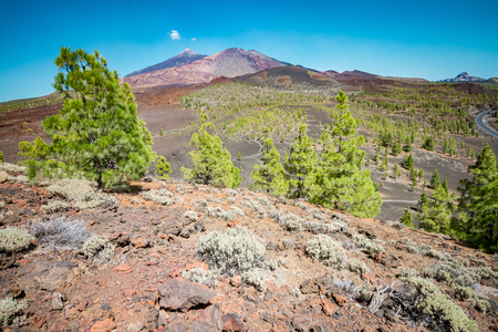 Pico del Teide - Spectacular volcano on Tenerife, with its surroundingsの写真素材