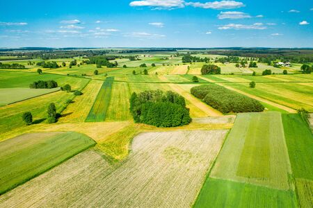 Green fields and trees of Polish countryside stretch to the horizon under white clouds and blue skyの写真素材