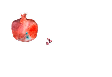 Watercolor hand drawn red and maroon garnet with a few grains isolated on a white background . Garnet illustration.の写真素材