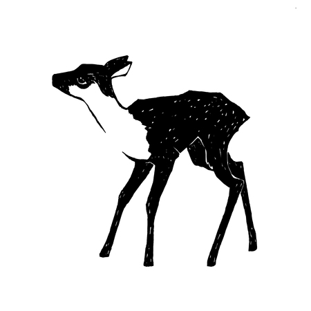 hand drawn fawn vector illustration, young deer isolated on white background, wildlife clip artのイラスト素材