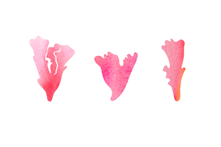 Watercolor texture marine life. Abstract sea inspired background.の写真素材