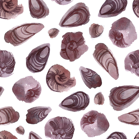 Brown seashells isolated on white background. Shell seamless patternの写真素材