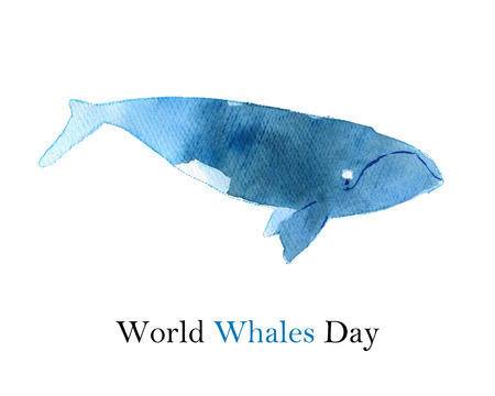 Watercolor sketch of right whale. Illustration isolated on white backgroundの写真素材
