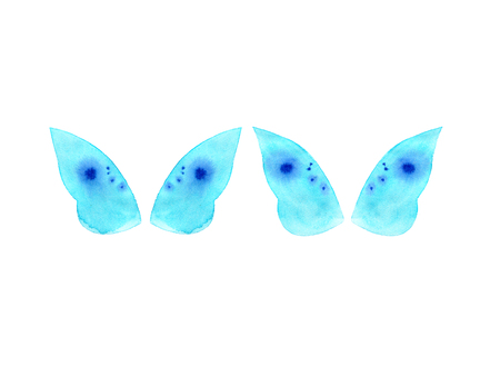Watercolor butterfly wings isolated on white backgroundの写真素材