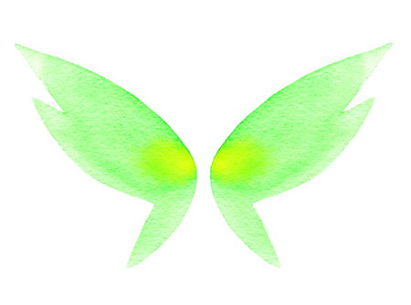 Watercolor butterfly wings isolated on white backgroundの写真素材