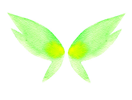 Watercolor butterfly wings isolated on white backgroundの写真素材