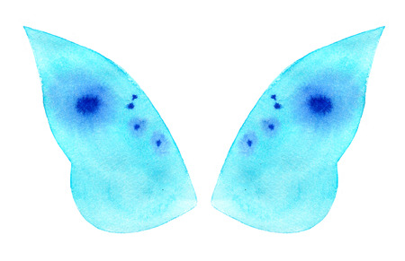 Watercolor butterfly wings isolated on white backgroundの写真素材