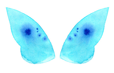 Watercolor butterfly wings isolated on white backgroundの写真素材