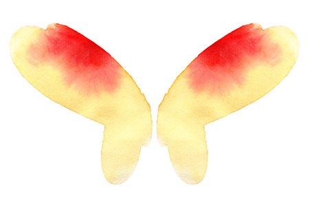 Watercolor butterfly wings isolated on white backgroundの写真素材