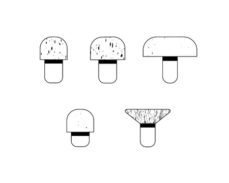 Different mushroom icons on white background, vector illustrationのイラスト素材